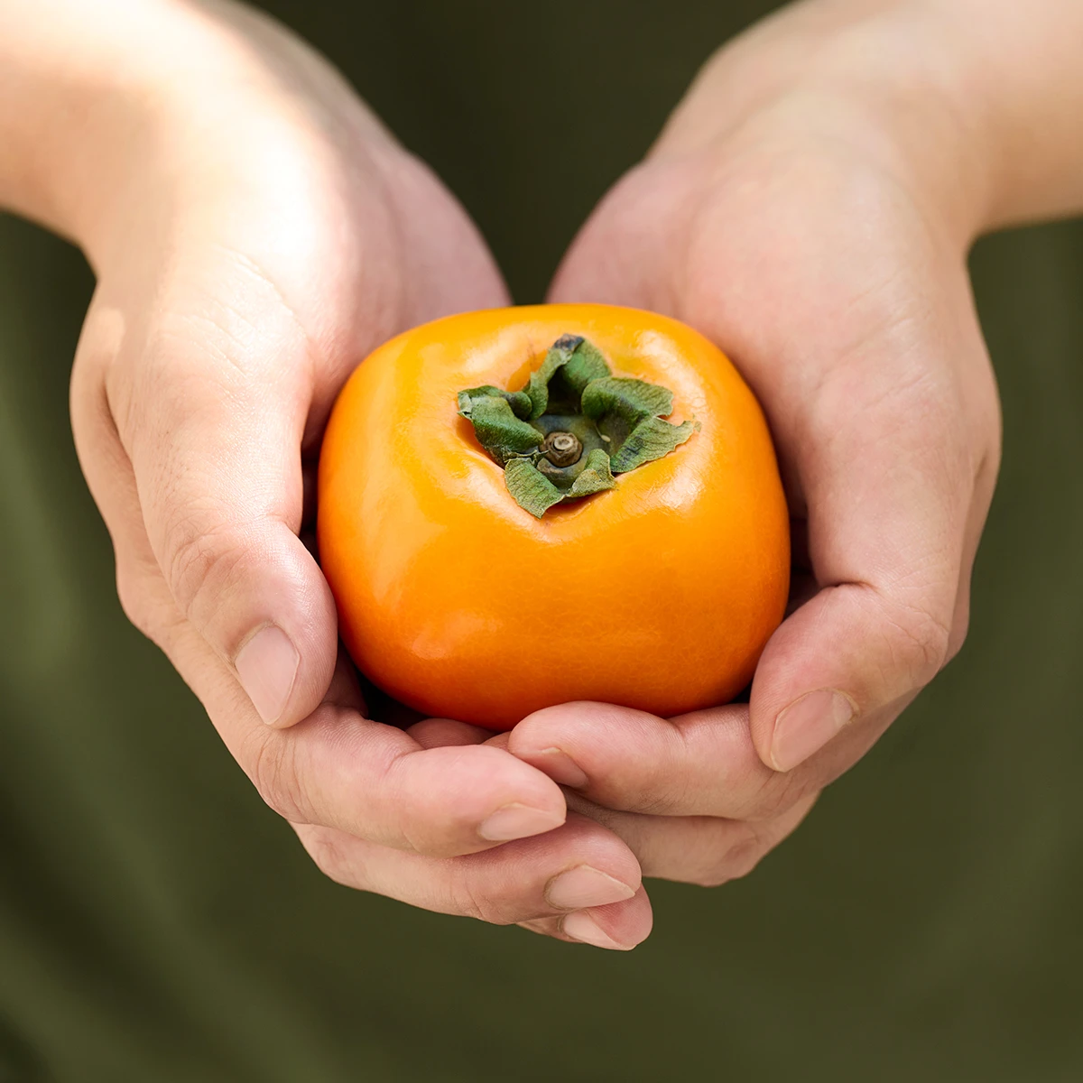 Persimmons