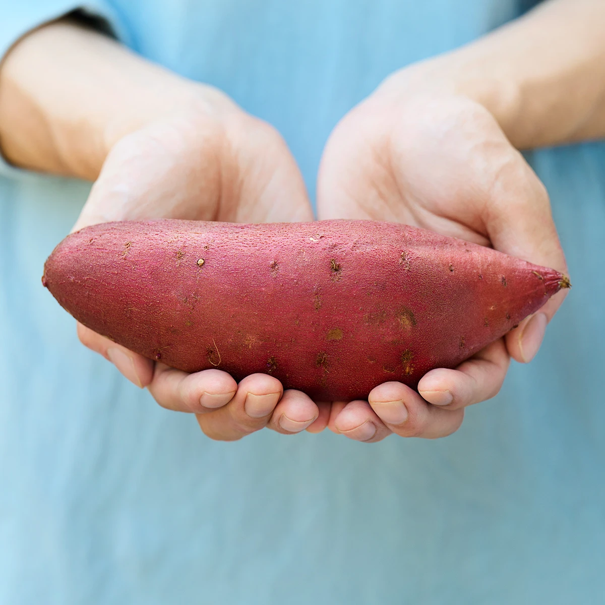 Sweet Potatoes